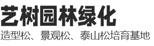 泰安藝樹(shù)園林綠化有限公司